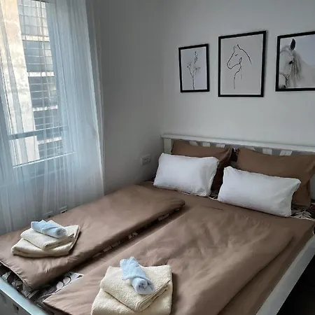 Allure Of * بلغراد